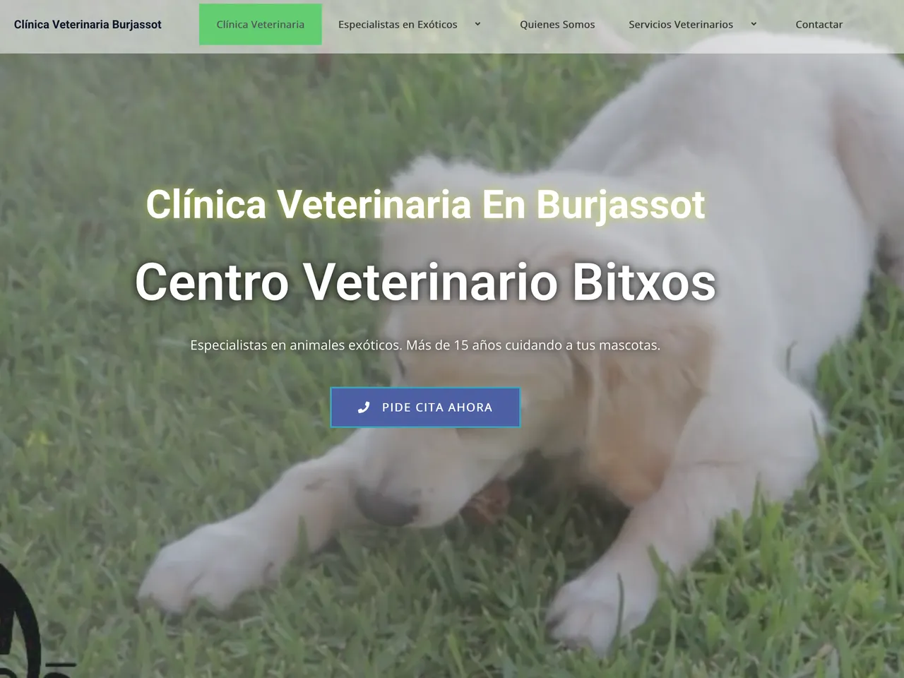 Captura de la web de Clínica Veterinaria Bitxos Burjassot