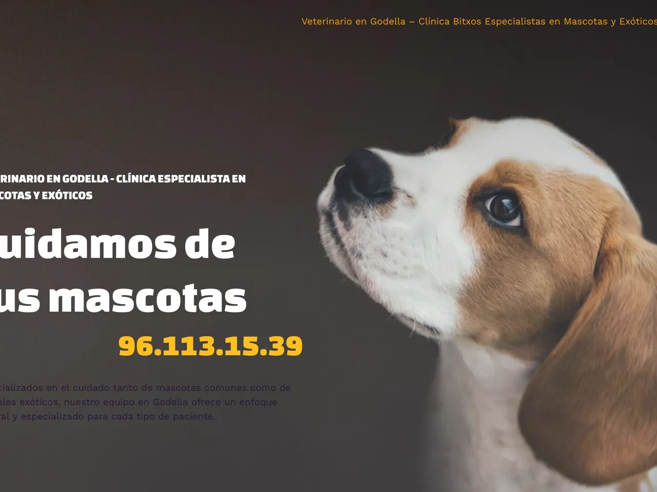 Captura de la web de Veterinario Bitxos Godella